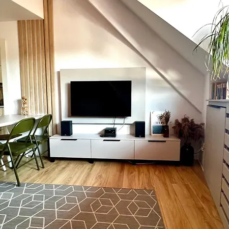 Cozy Flat In Near Old Town