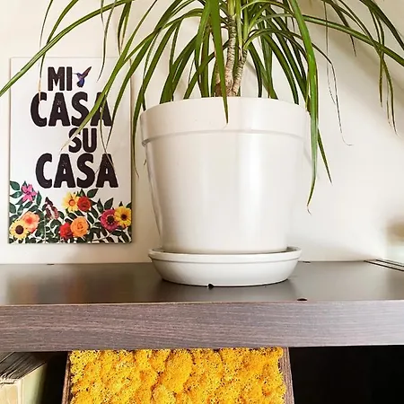 Apartment Cozy Flat In Near Old Town *