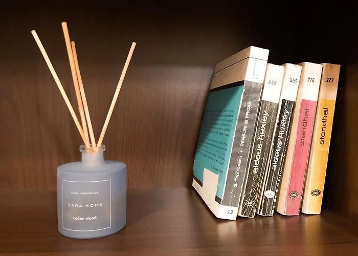 Apartament Cozy Flat In Near Old Town Bucureşti